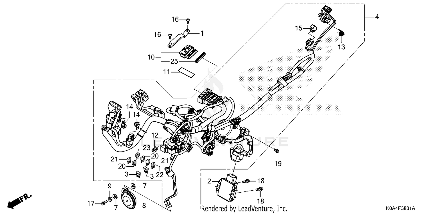 WIRE HARNESS (2)
