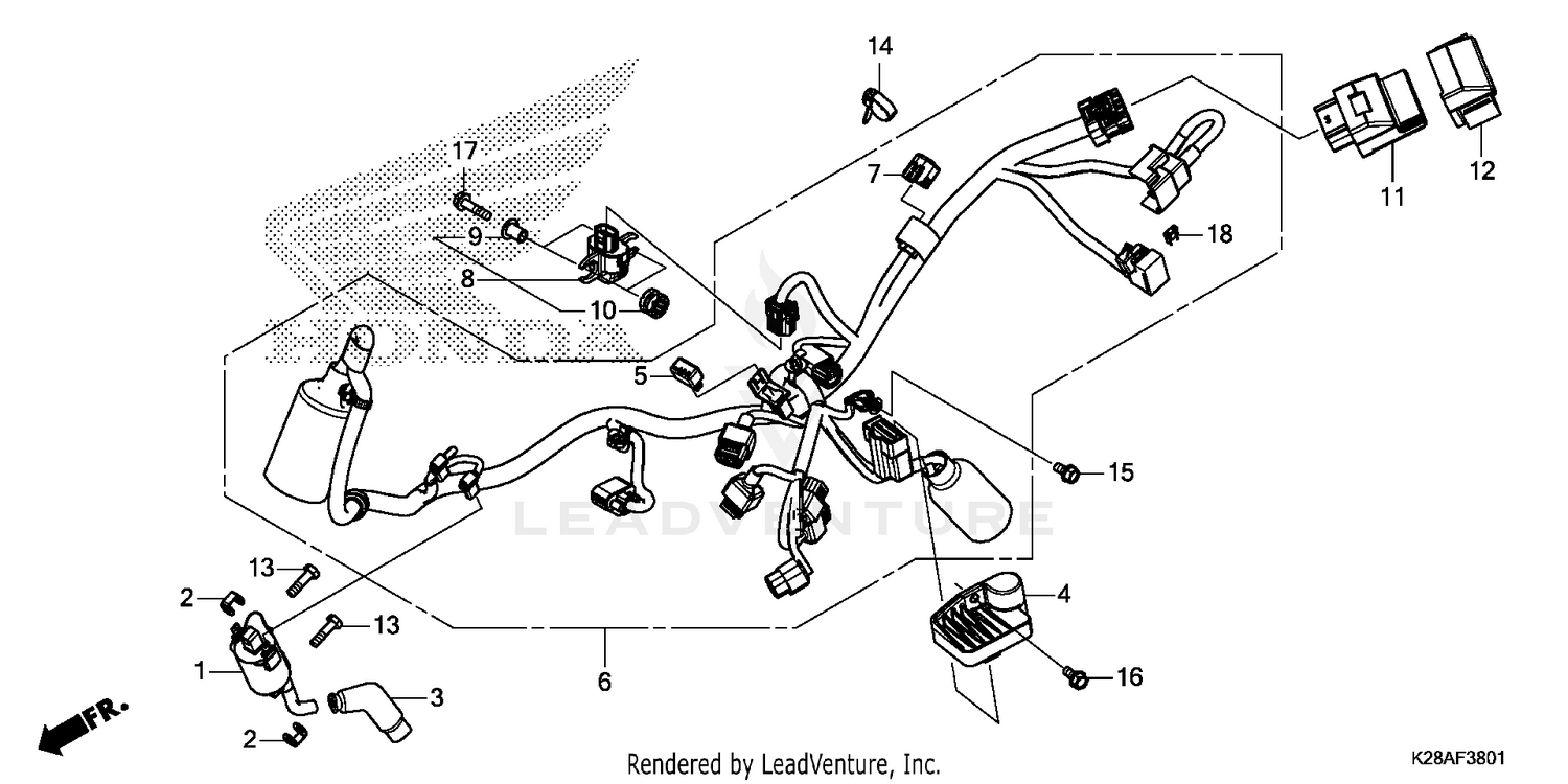 WIRE HARNESS (2)