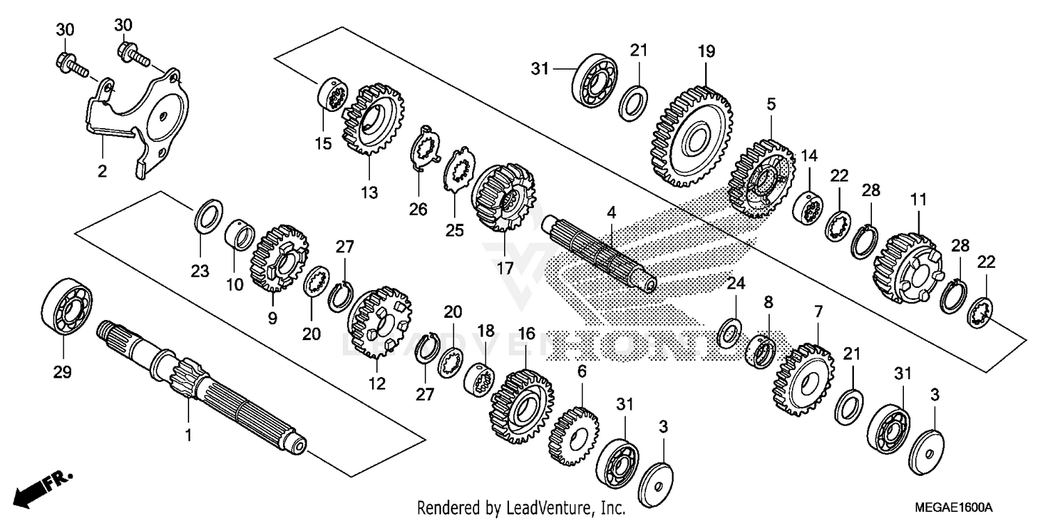 RIGHT CRANKCASE COVER