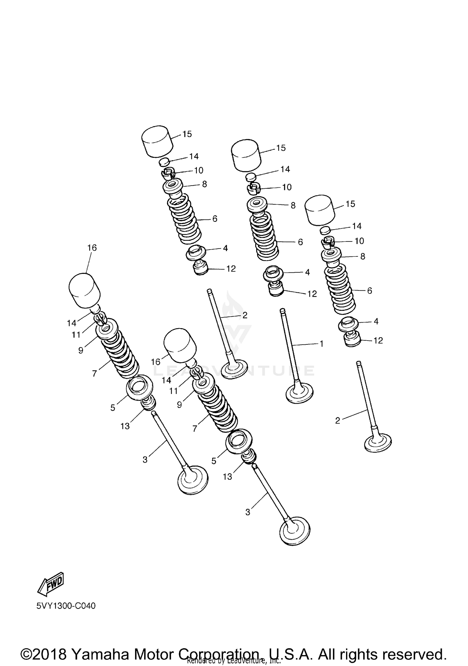 MARKS (2)