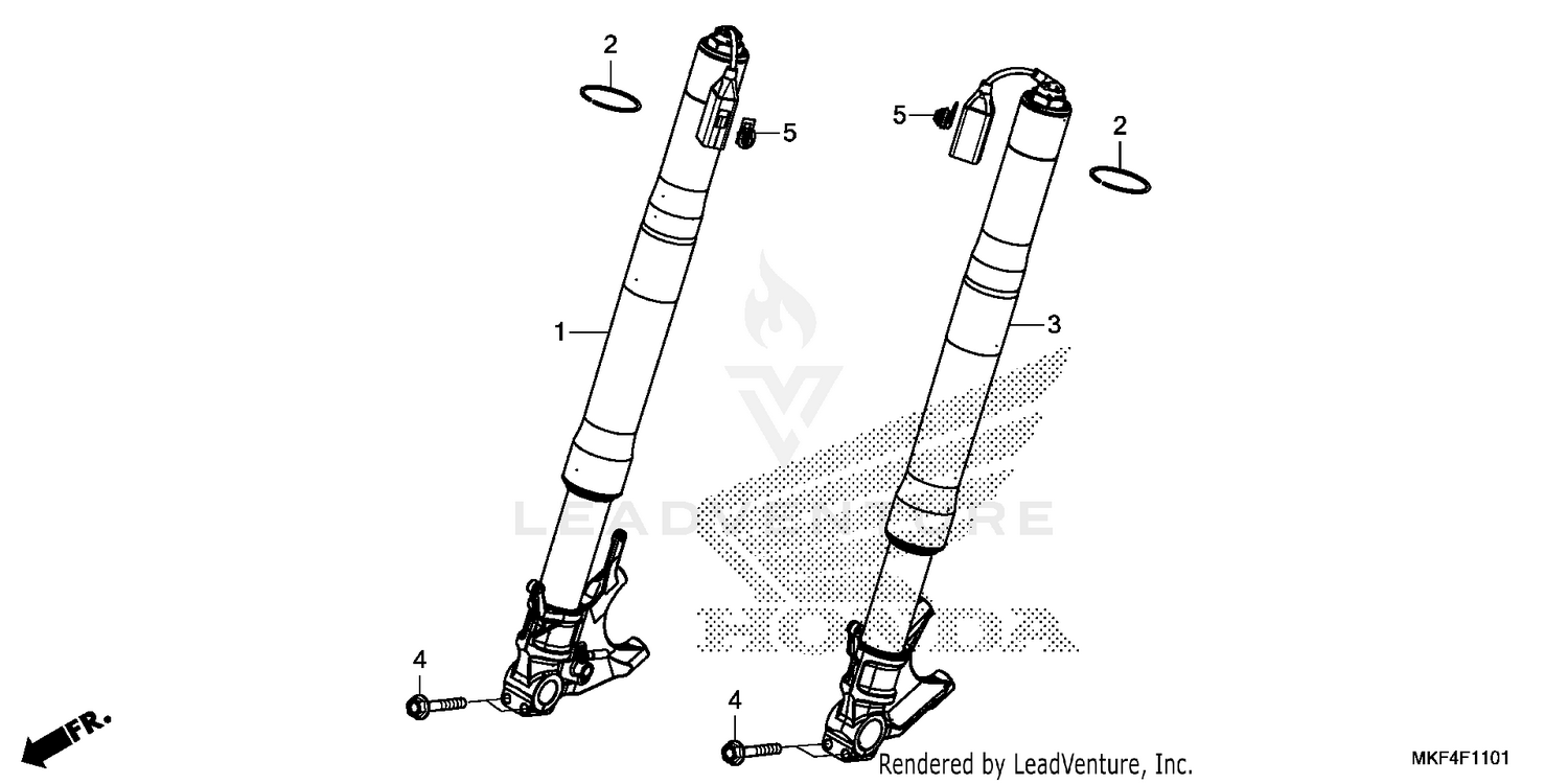 FRONT FORK (2)