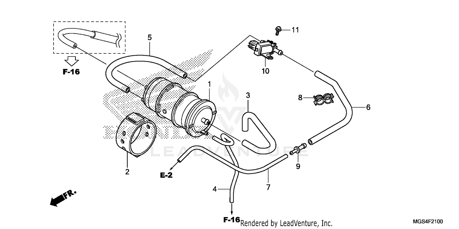 CANISTER