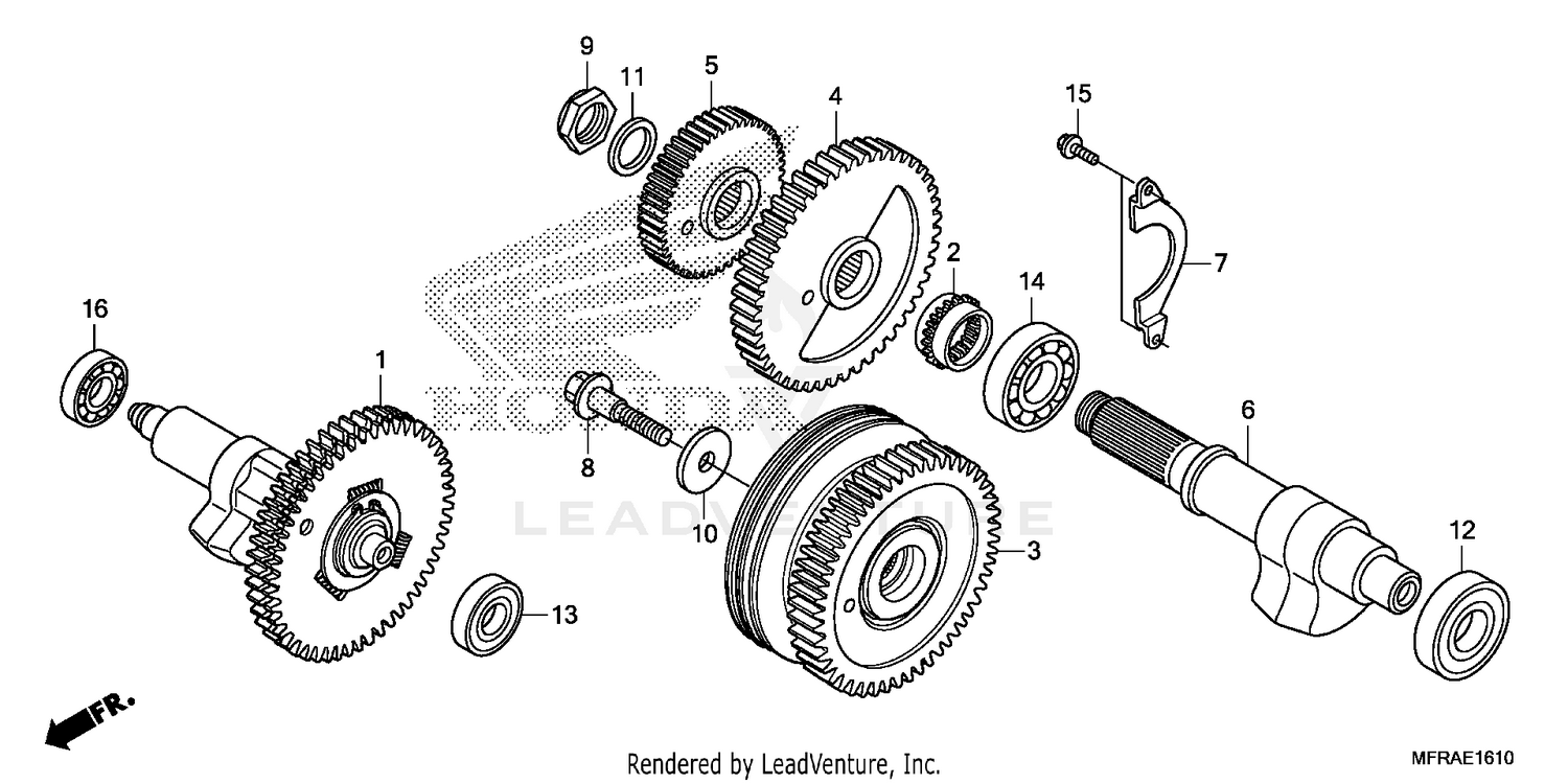 CAM CHAIN@TENSIONER