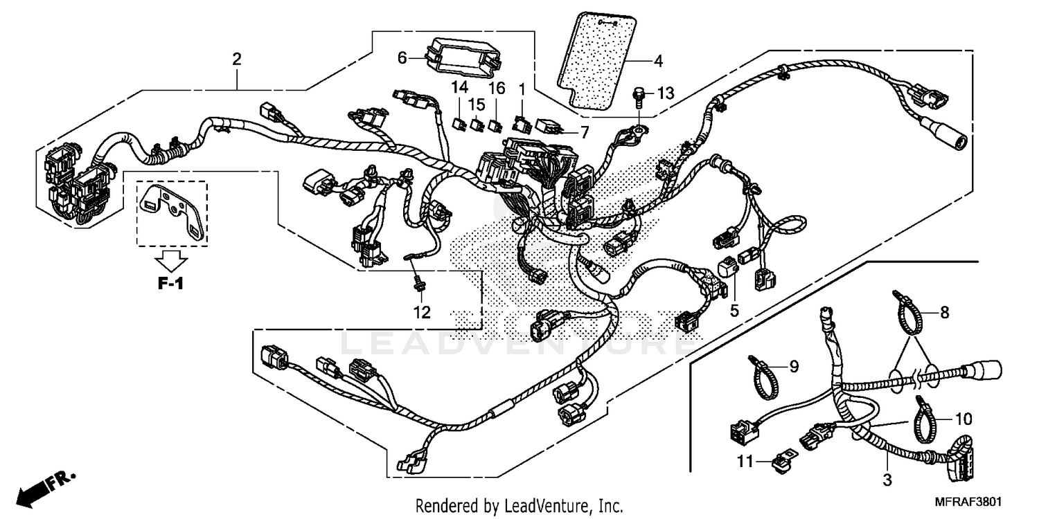 WIRE HARNESS (2)