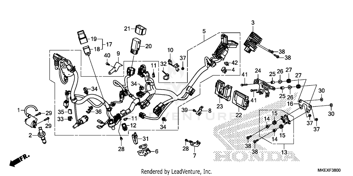 WIRE HARNESS