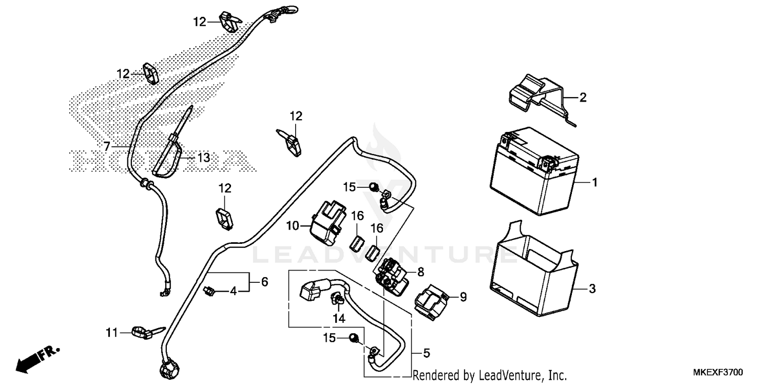 Exhaust System