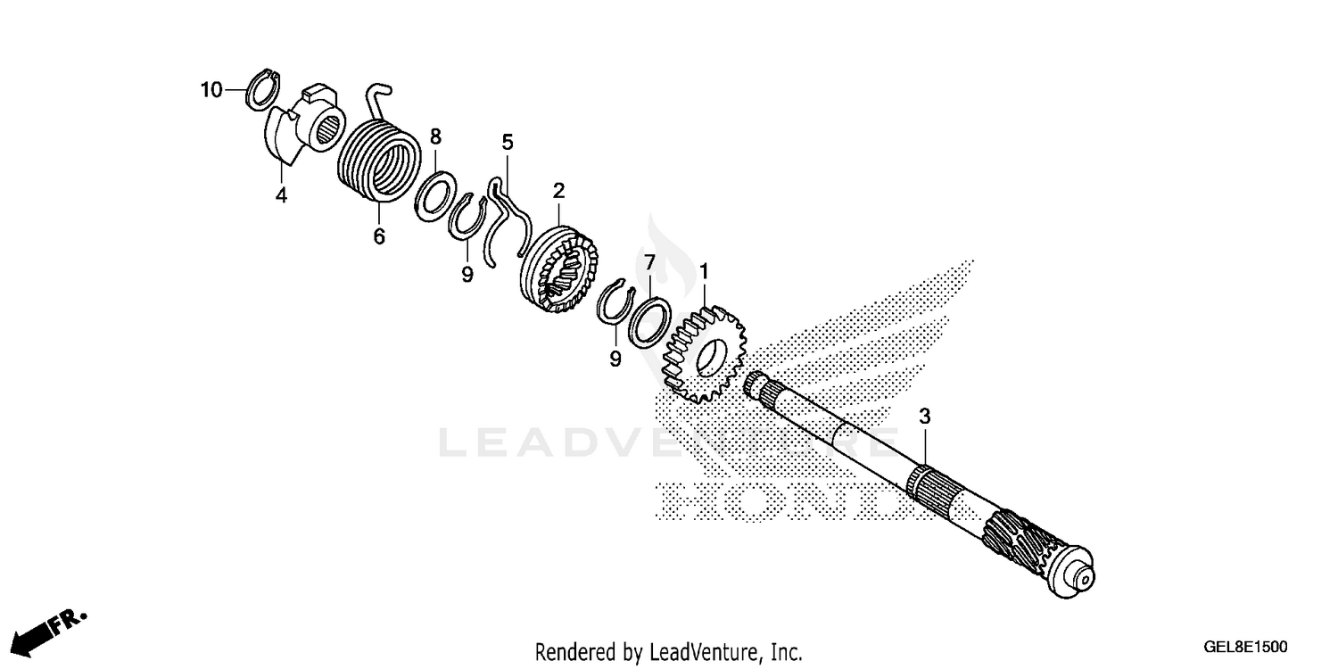 Rear Fender(s)