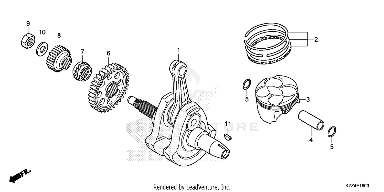 Front Fork