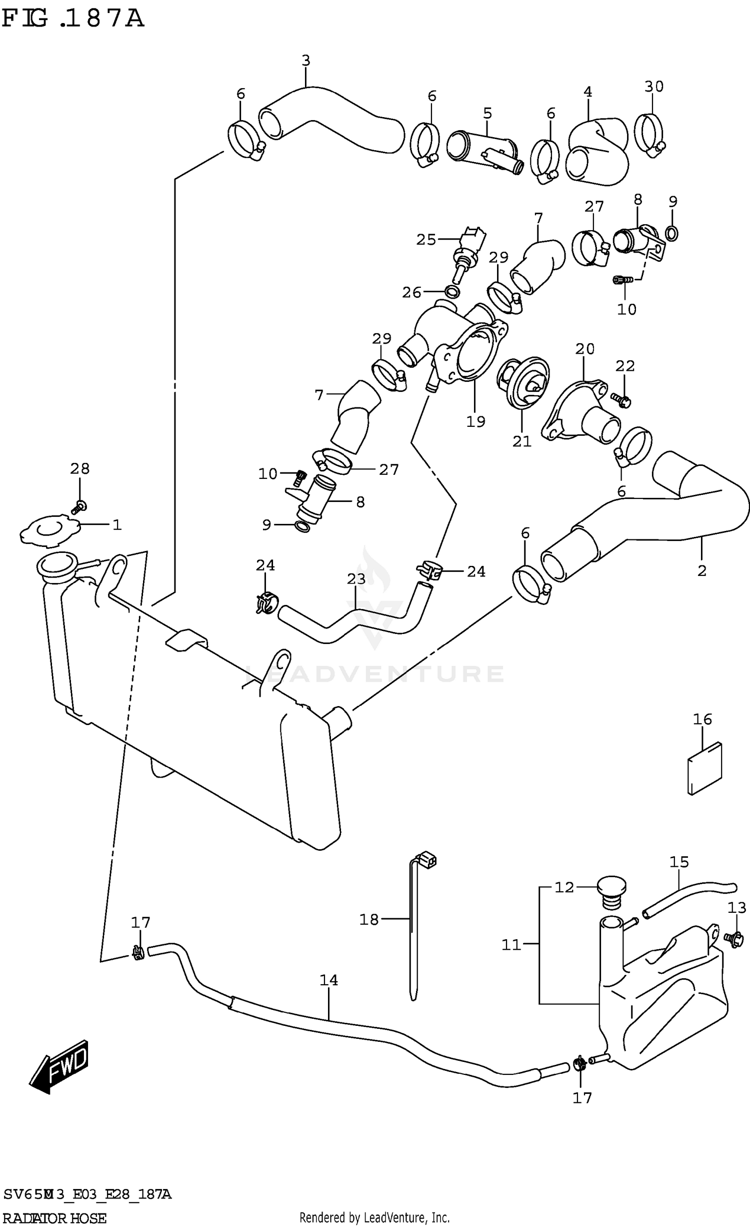 RADIATOR HOSE