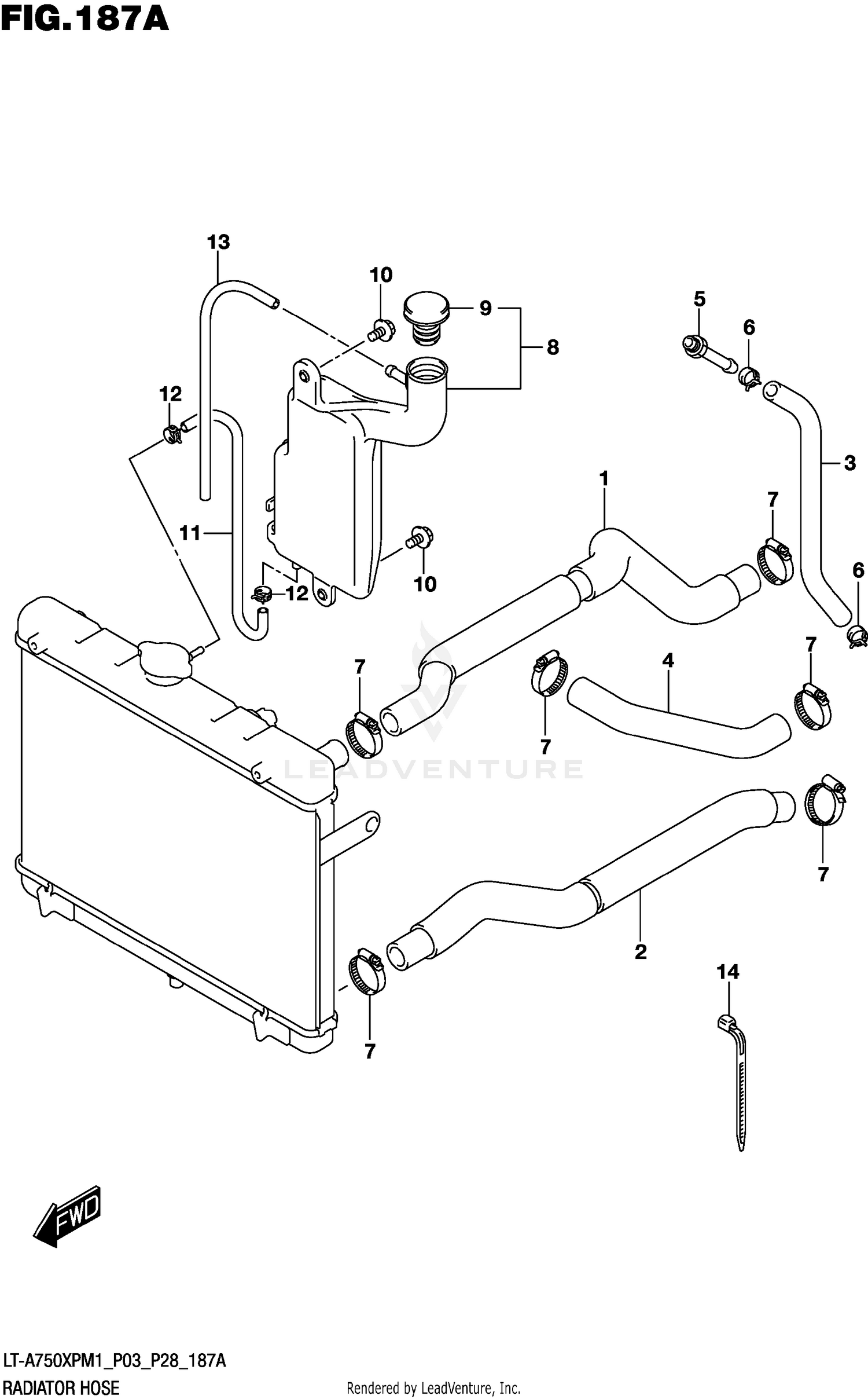 RADIATOR HOSE
