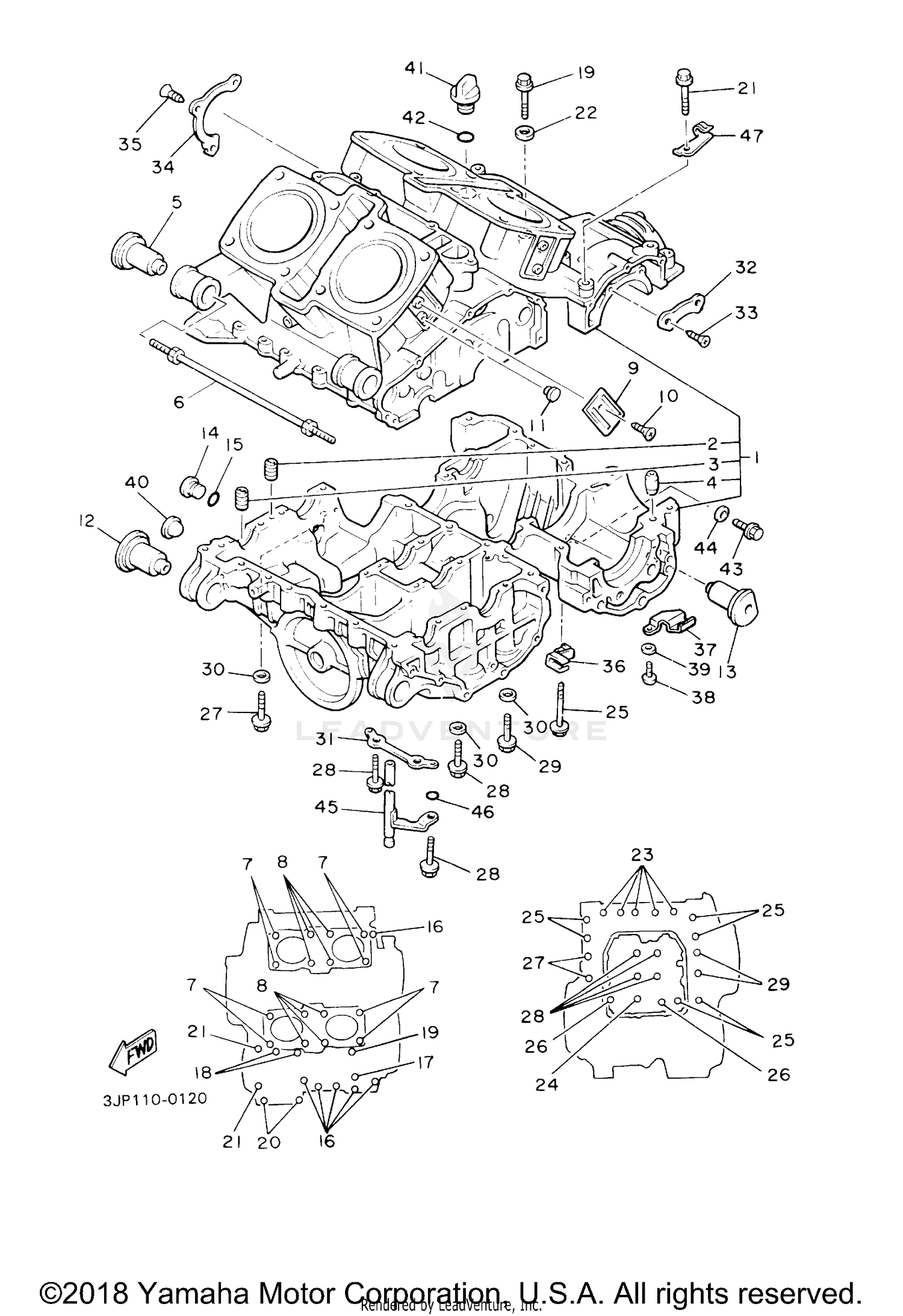 CRANKCASE COVER