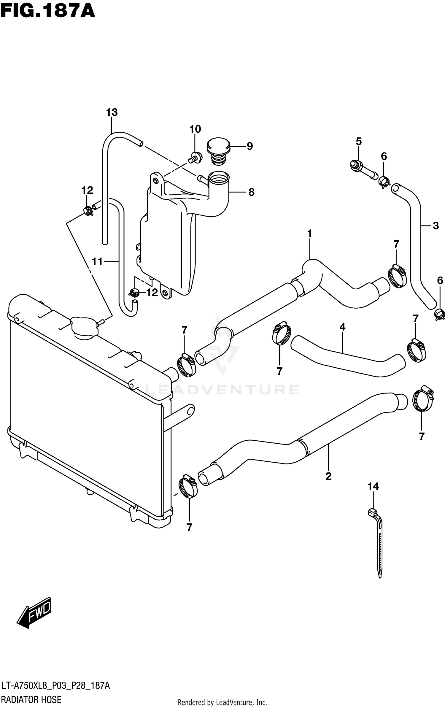 RADIATOR HOSE