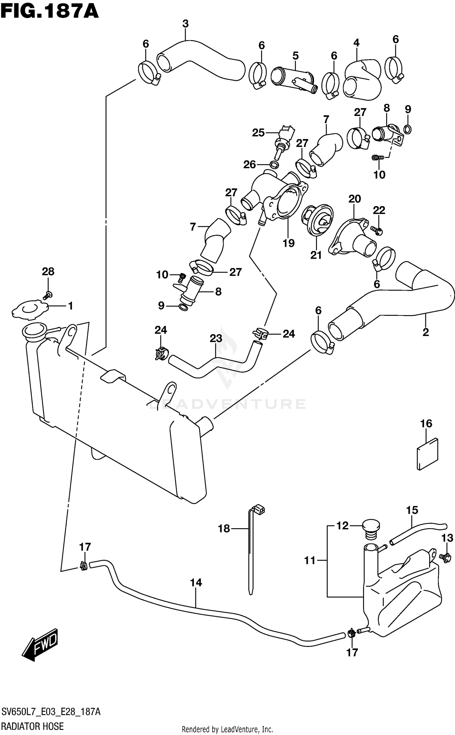 RADIATOR HOSE