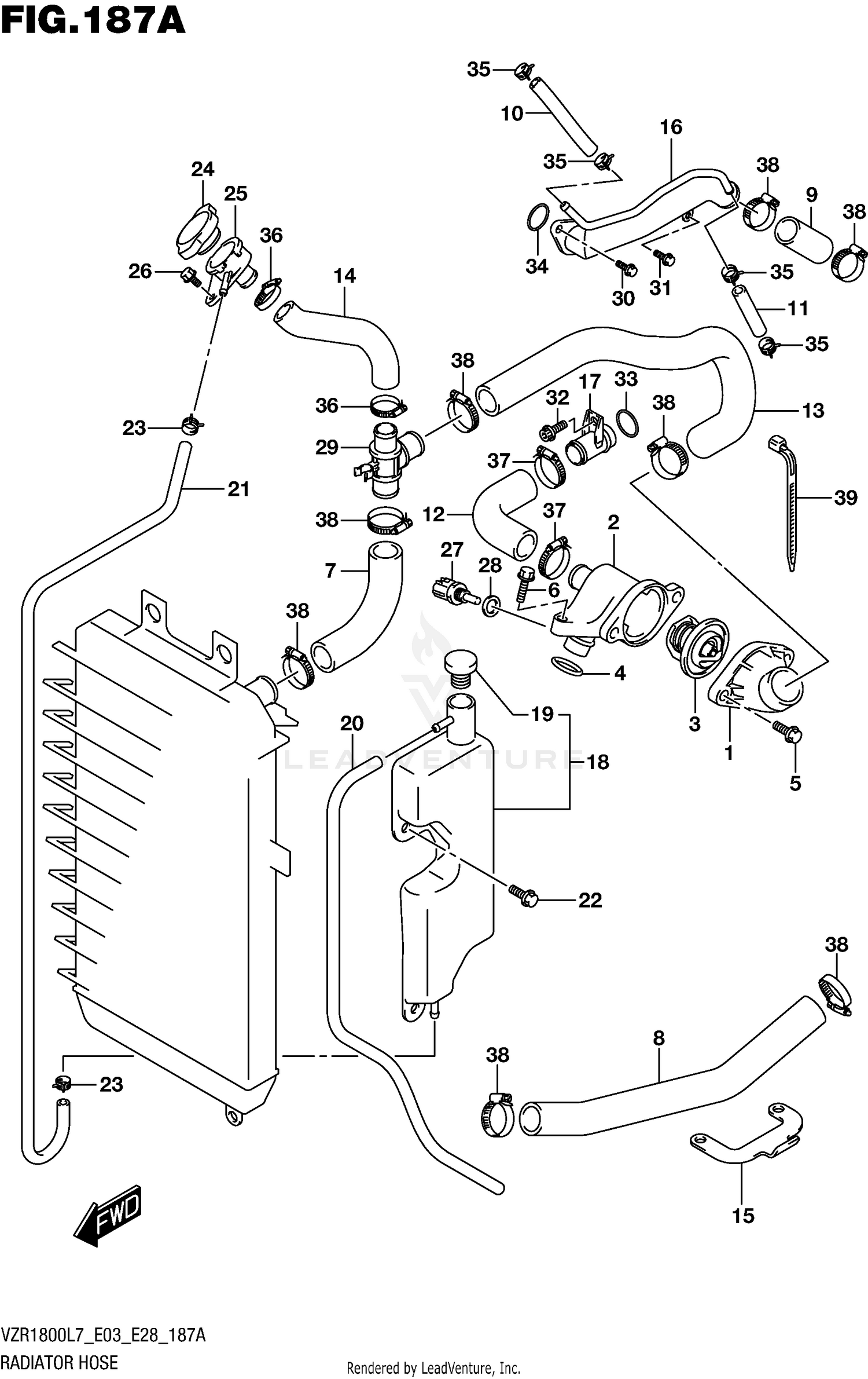 RADIATOR HOSE