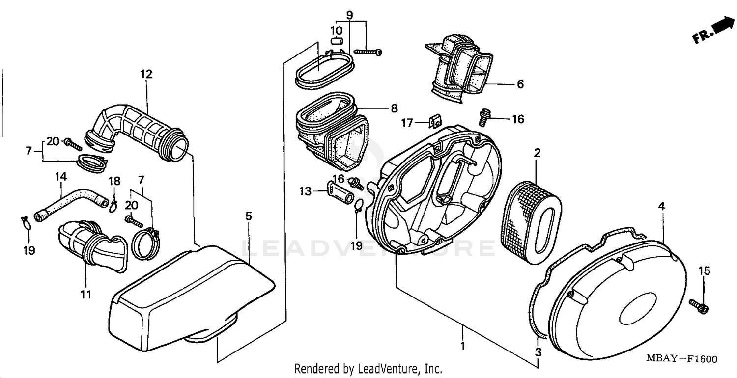 REAR ARM