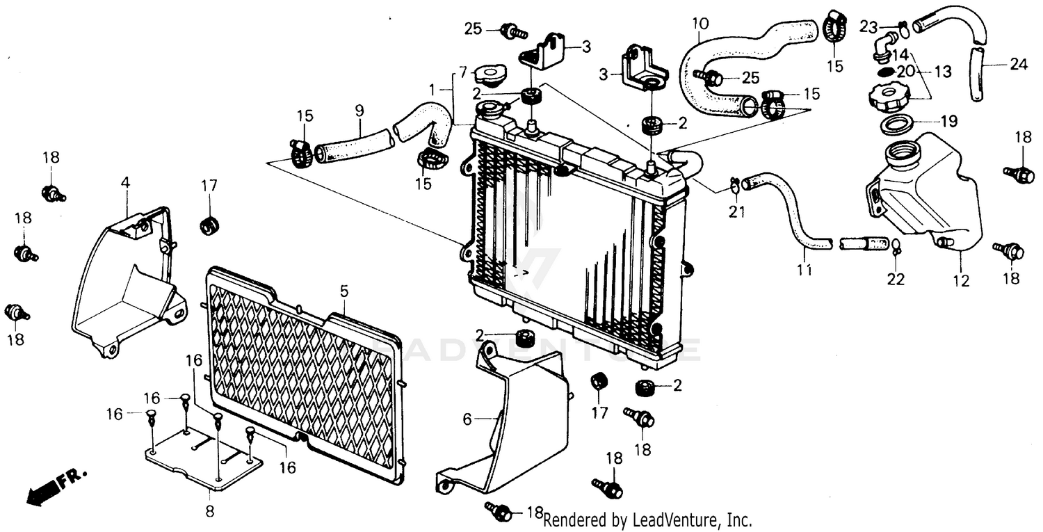 REAR ARM