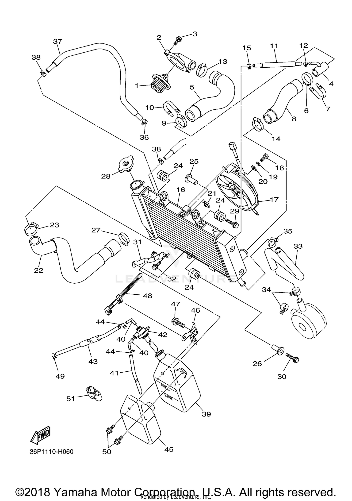 RADIATOR HOSE