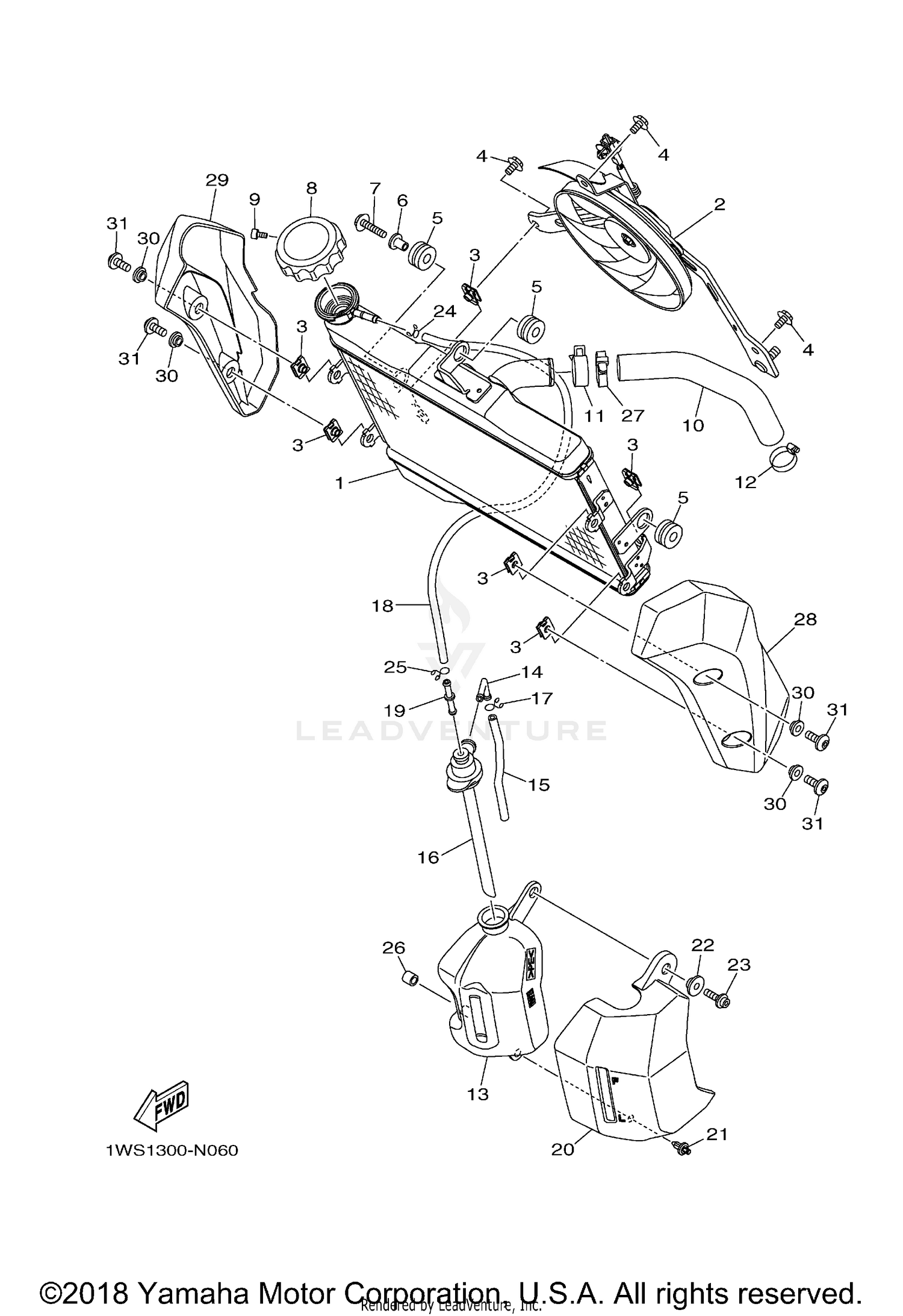 RADIATOR HOSE