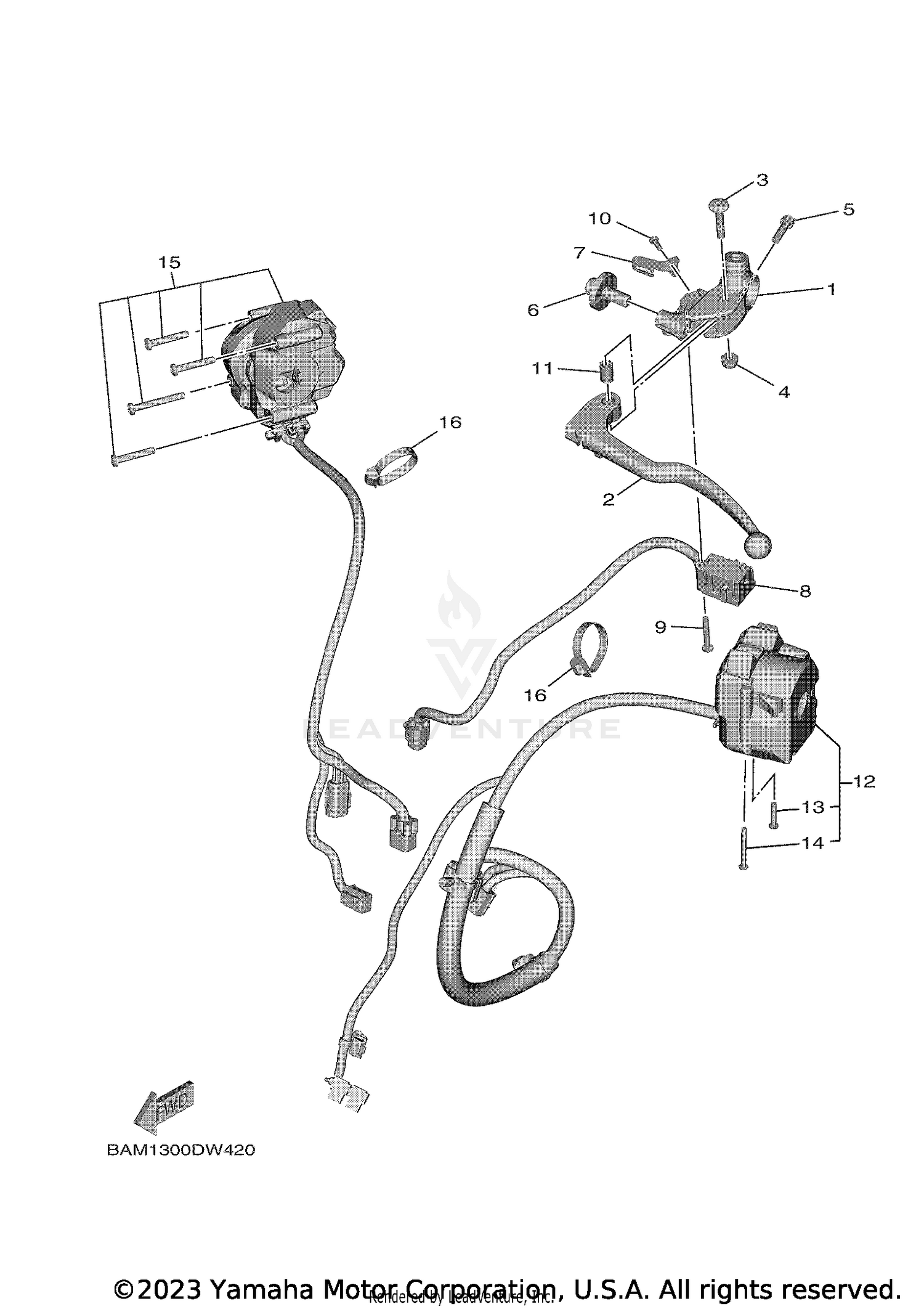 REAR SHOCKS