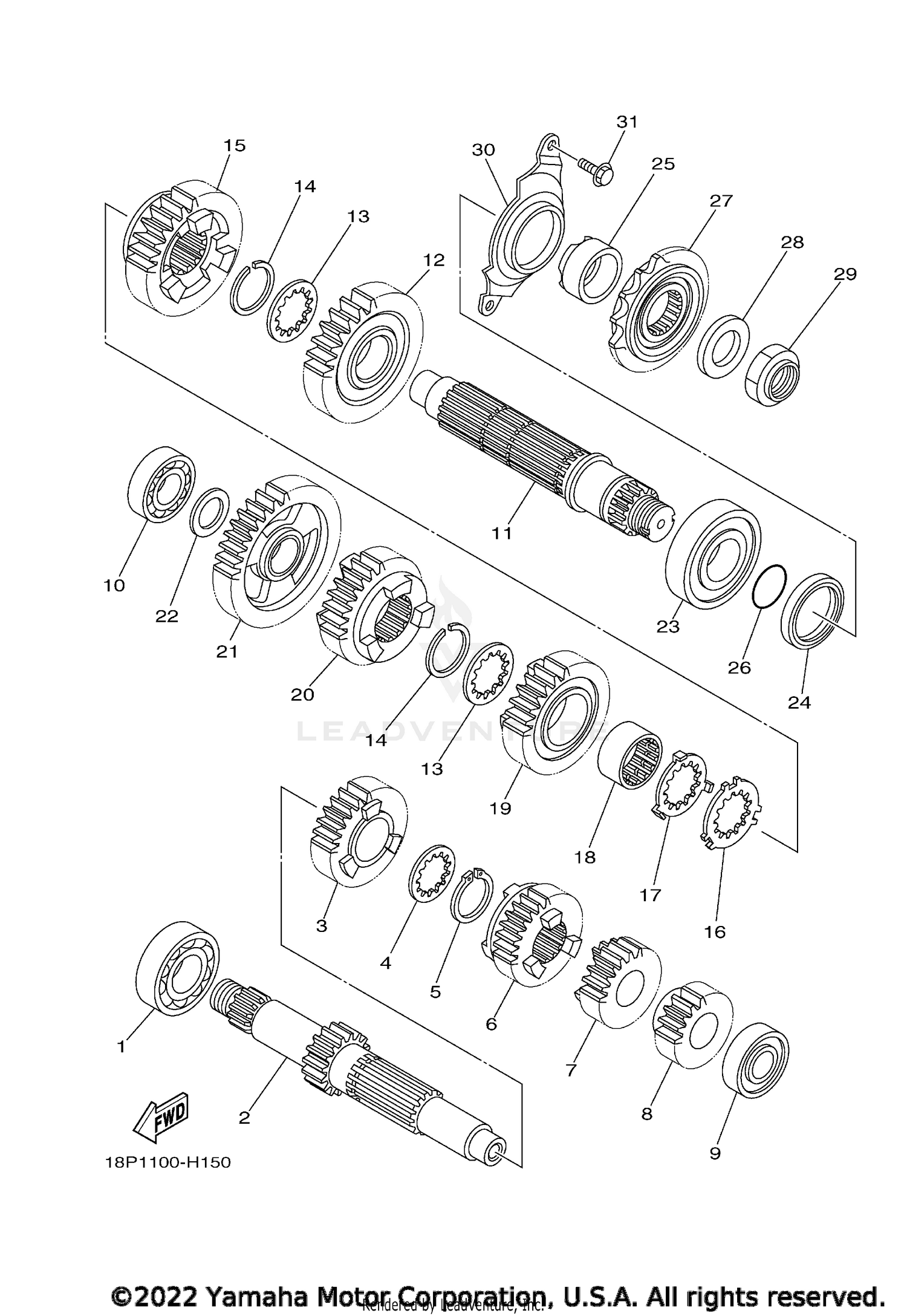 TRANSMISSION