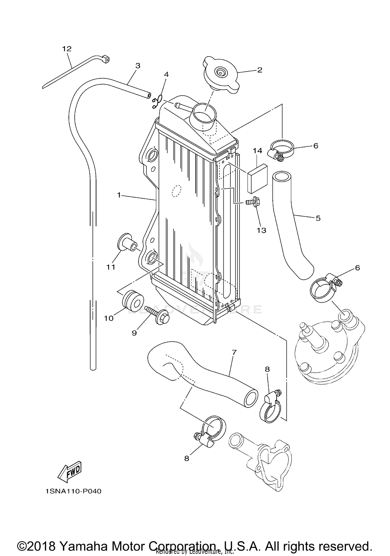 RADIATOR HOSE