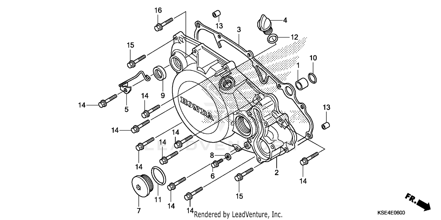 RADIATOR HOSE