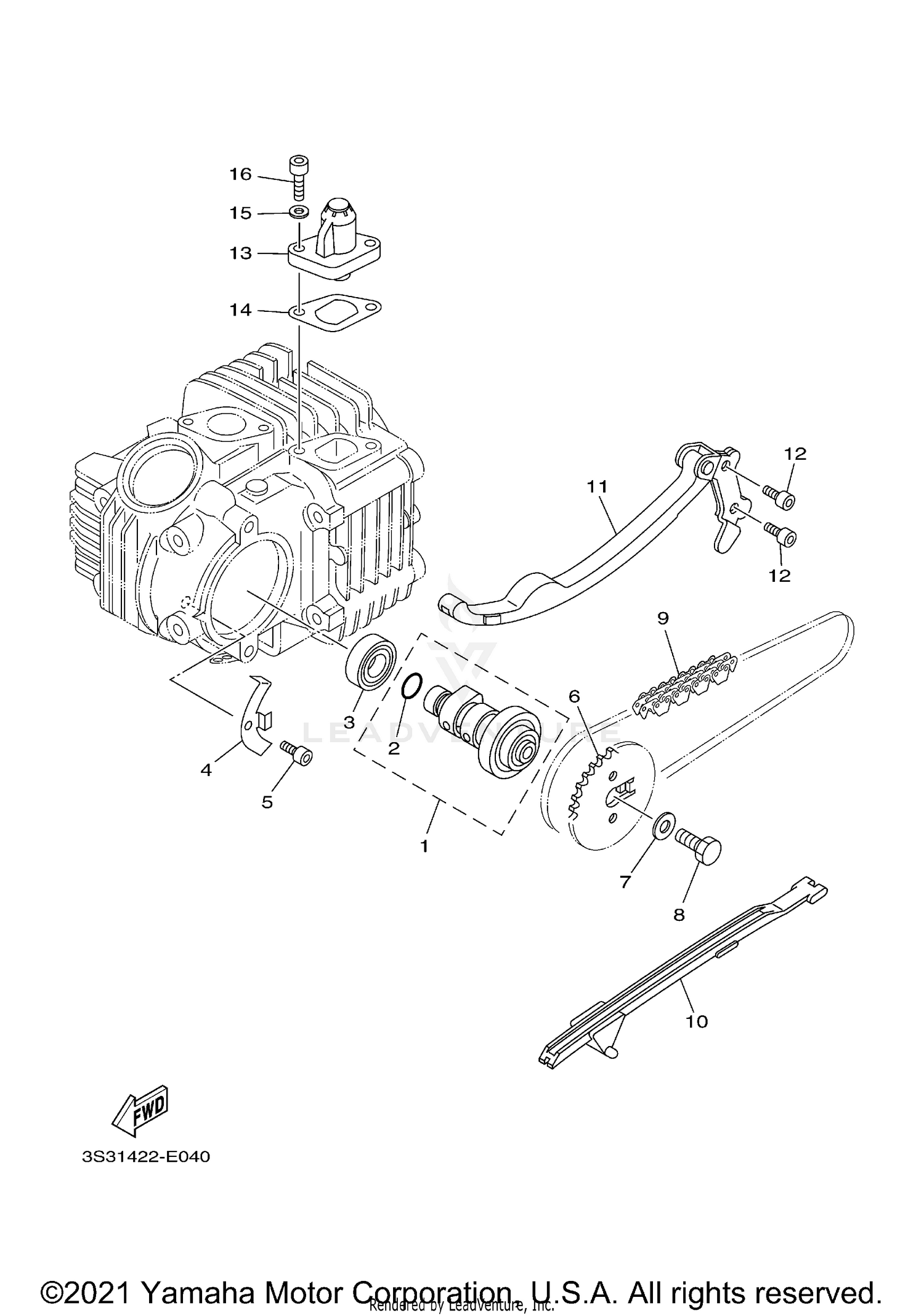 CAMSHAFT & CHAIN