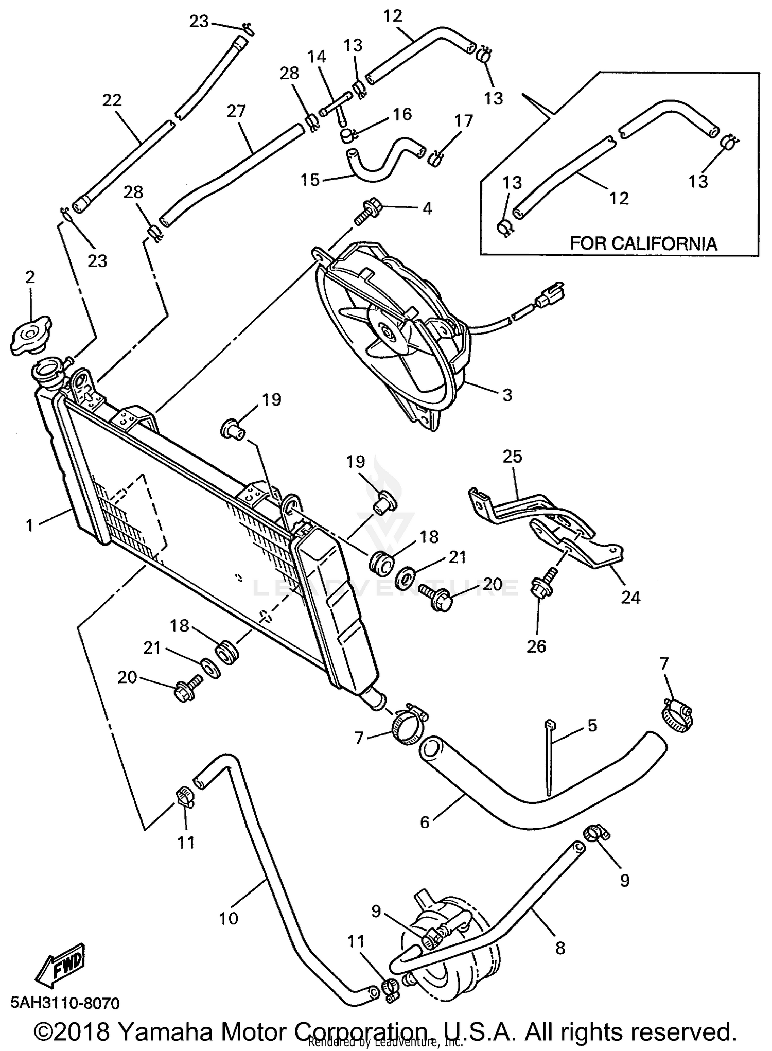 RADIATOR HOSE