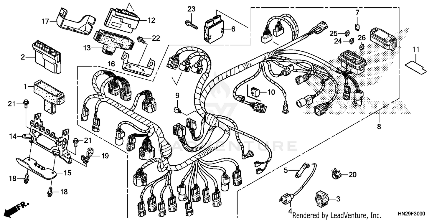 SWING ARM - REAR SHOCKS