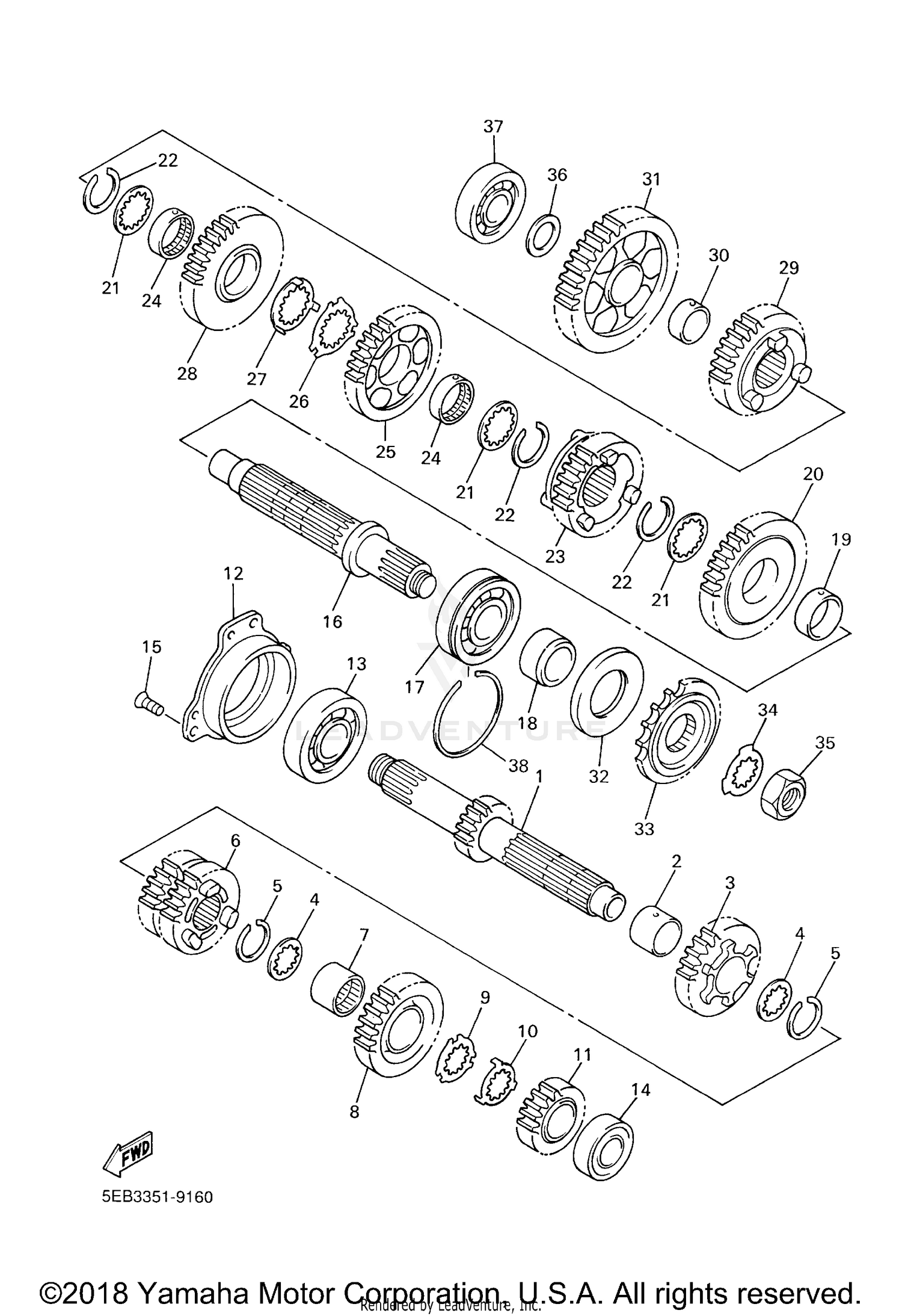 REAR ARM