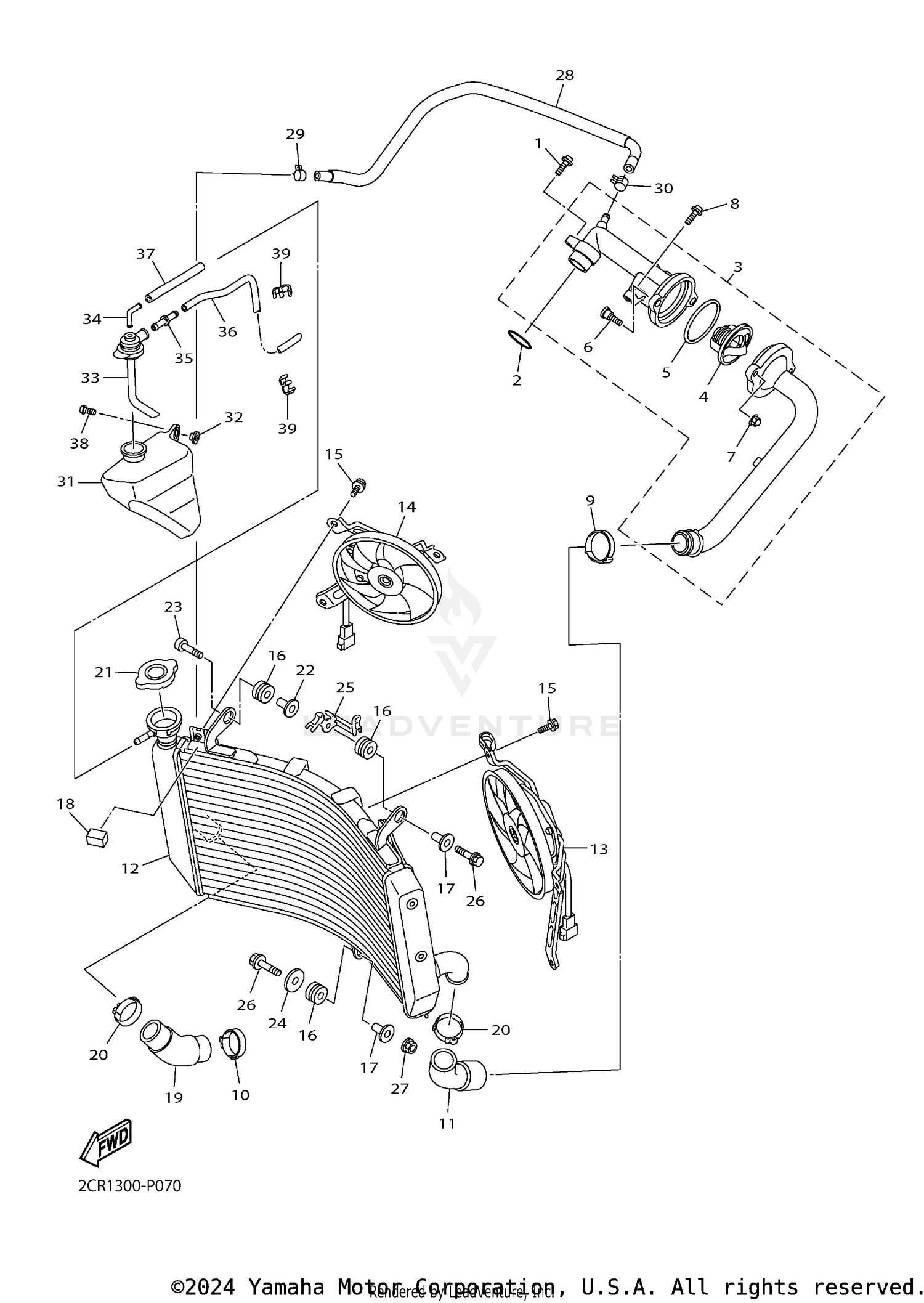 RADIATOR HOSE